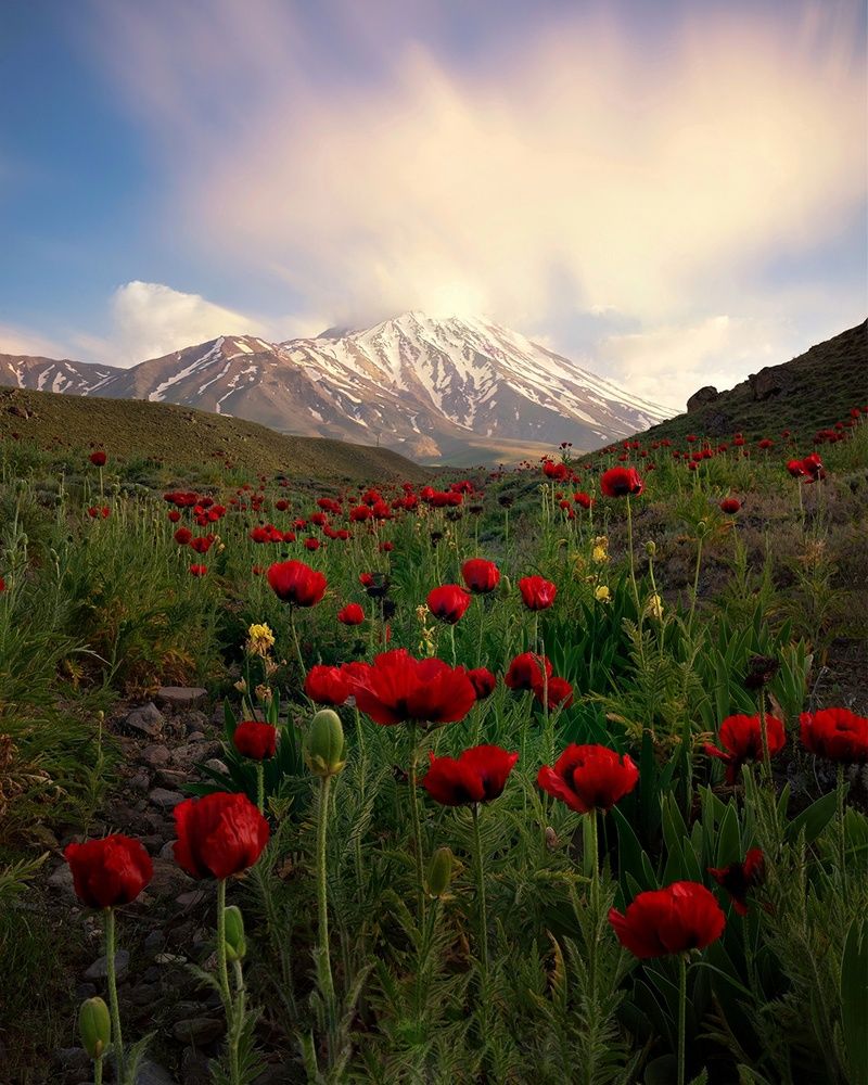 Beautiful Damavand