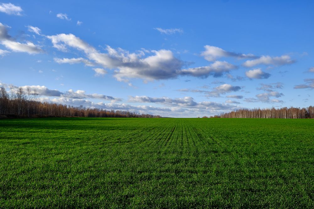 Photograph by Василий Арлашов