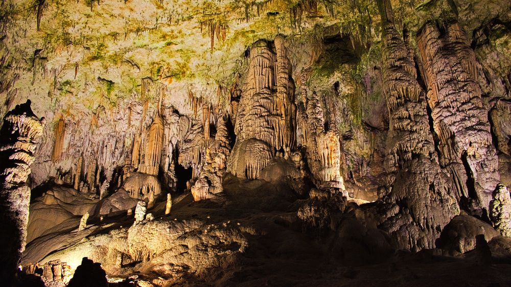 Фотография автора MANOJ MADHUSOODHANAN