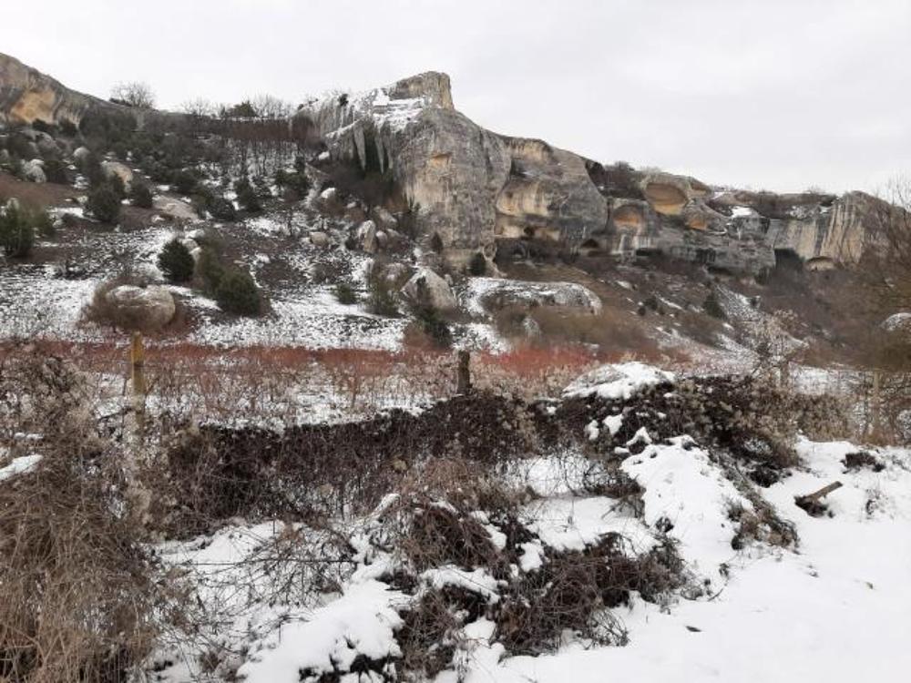 Photograph by Александр Аведов