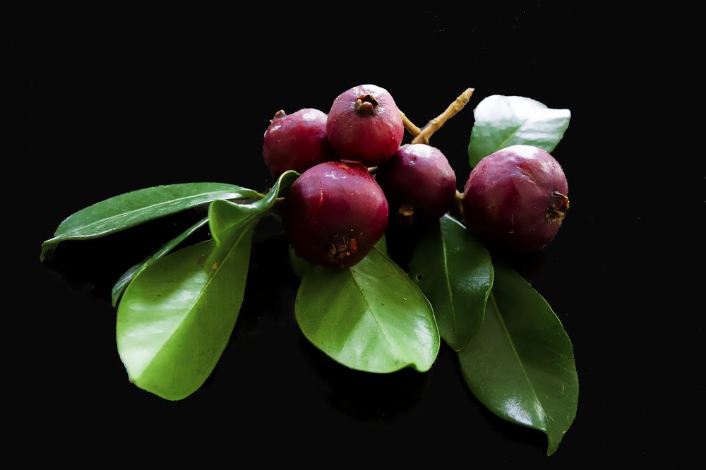 Photograph by DUONG QUANG NGHIA