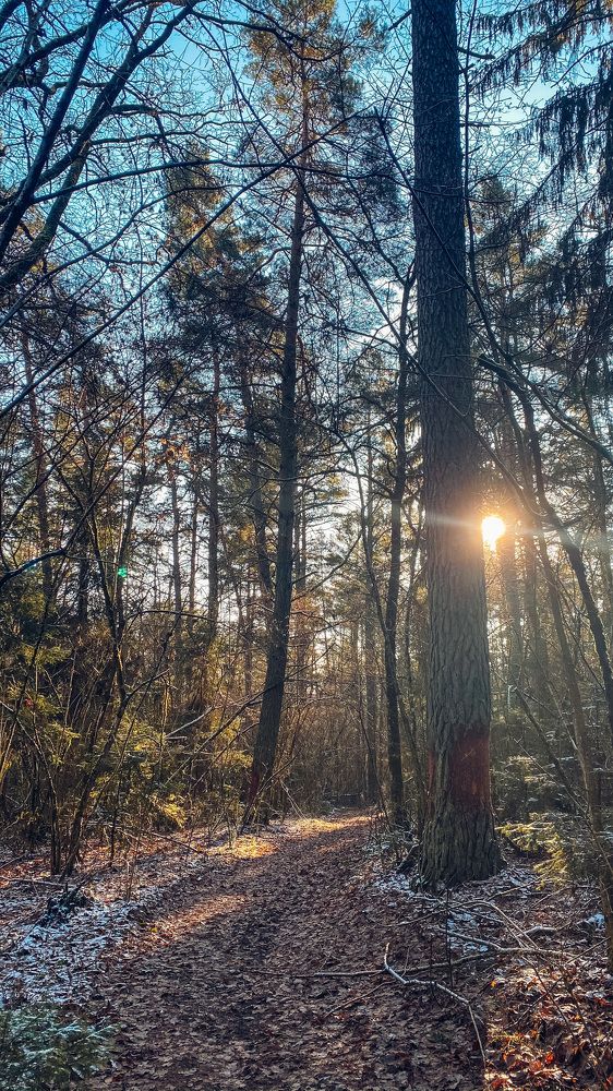 Весеннее настроение