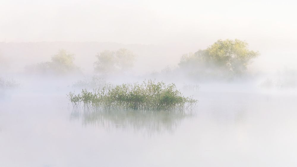 Photograph by Михаил Харитонычев