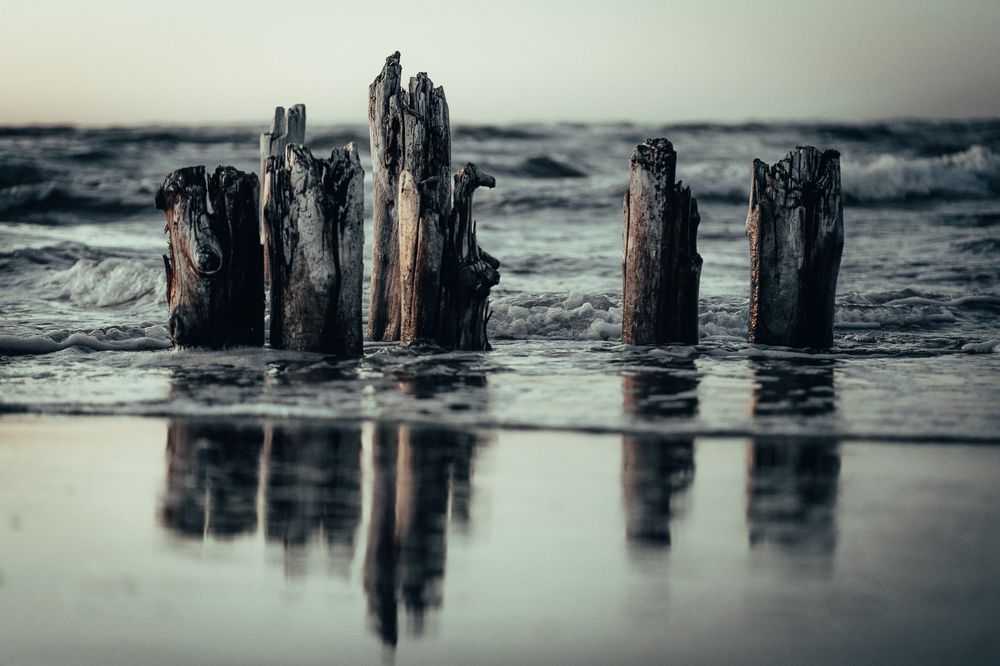 Photograph by Soichi Murakami