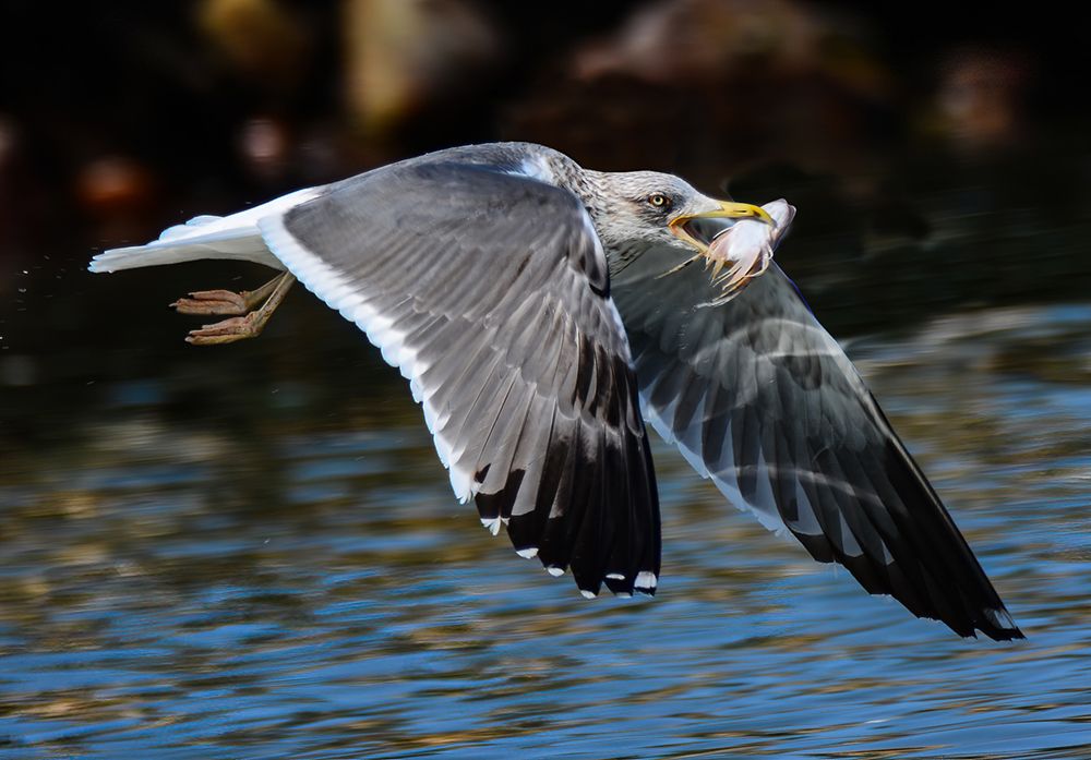 Photograph by Tabit Mostafa