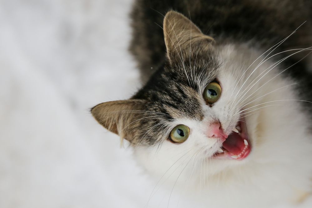 Photograph by Инна Юдина