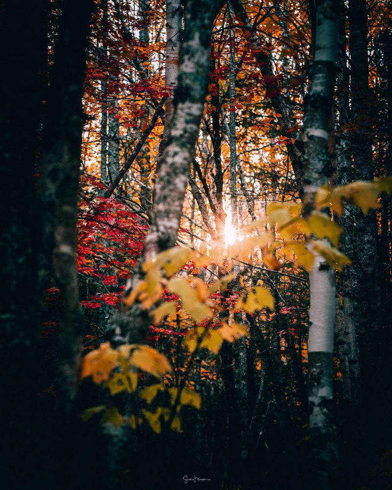 Photograph by Soichi Murakami