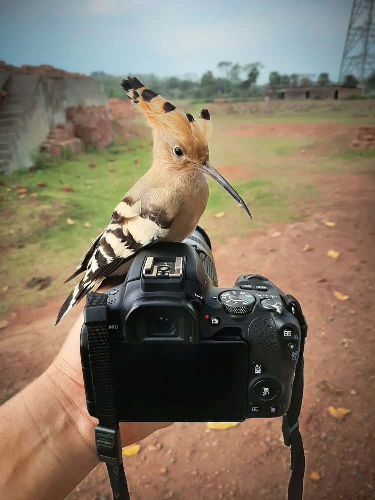 Photograph by Tanvir Ahmed