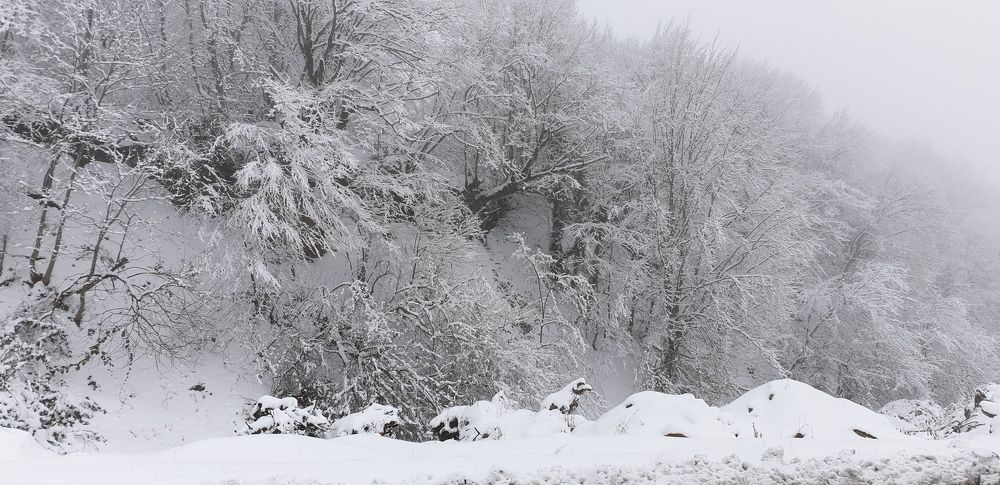 Photograph by Эльдар Малик-Аббас