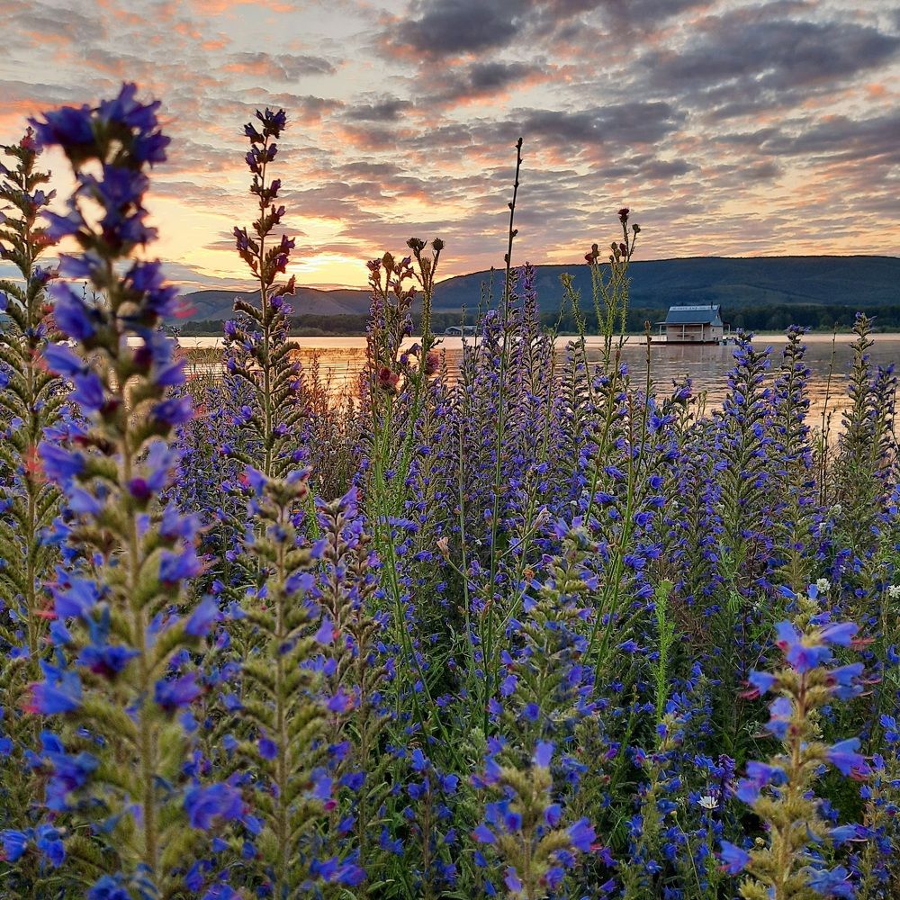 Photograph by Алена