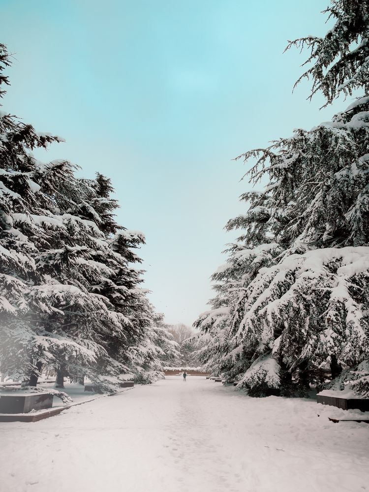 Photograph by Яна Искаева