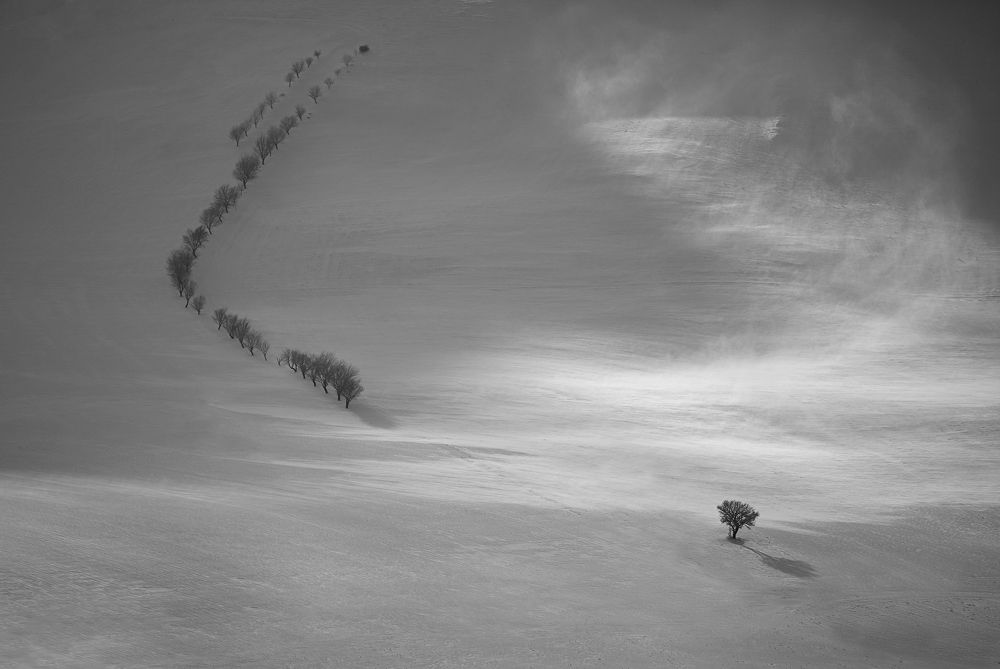 Photograph by aliasadi