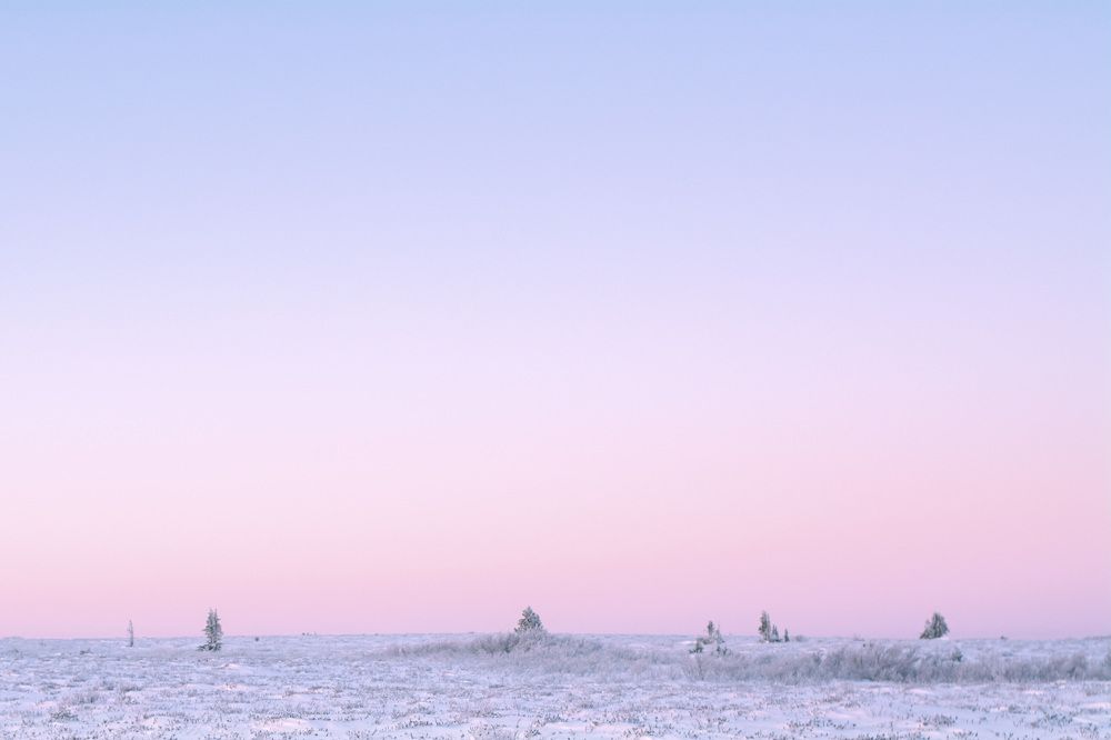 Photograph by Сергей Шмелев