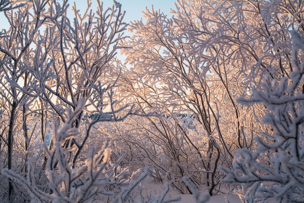 Photograph by Сергей Шмелев