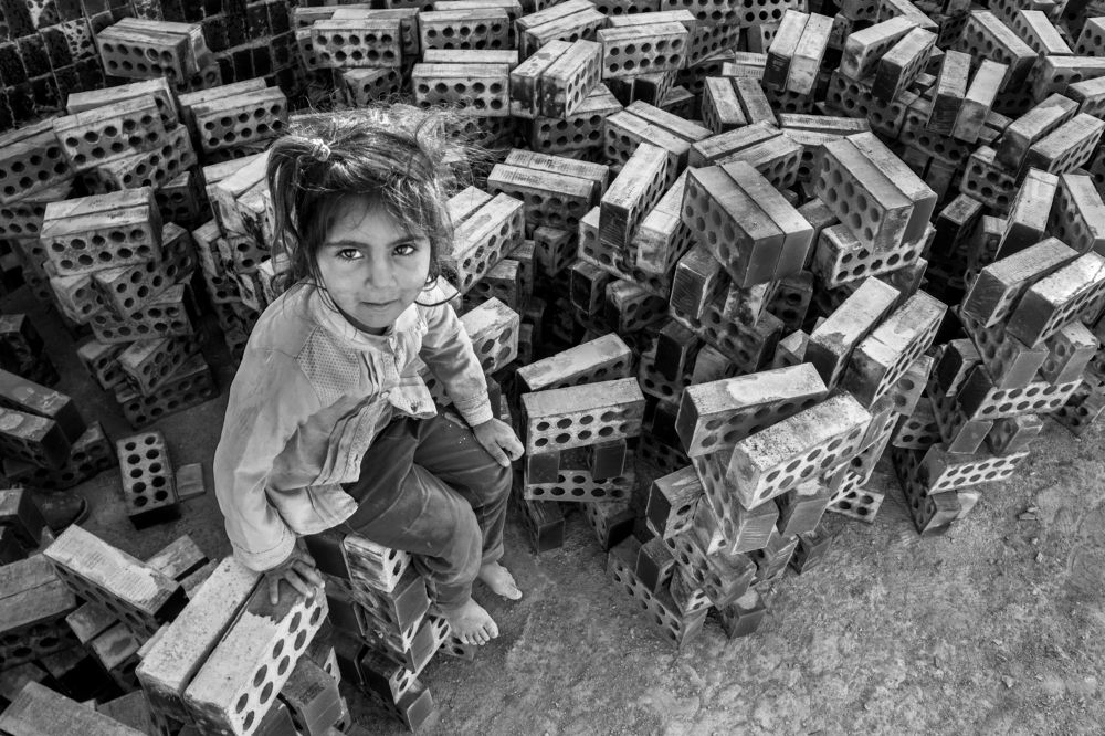 Photograph by mohammad reza zare