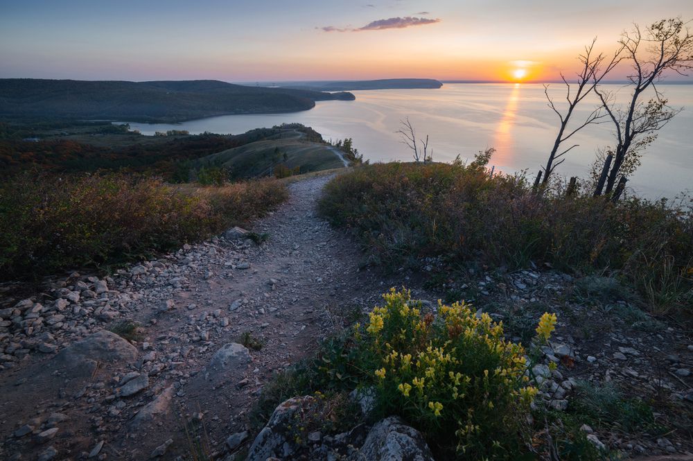 Цветы на камнях