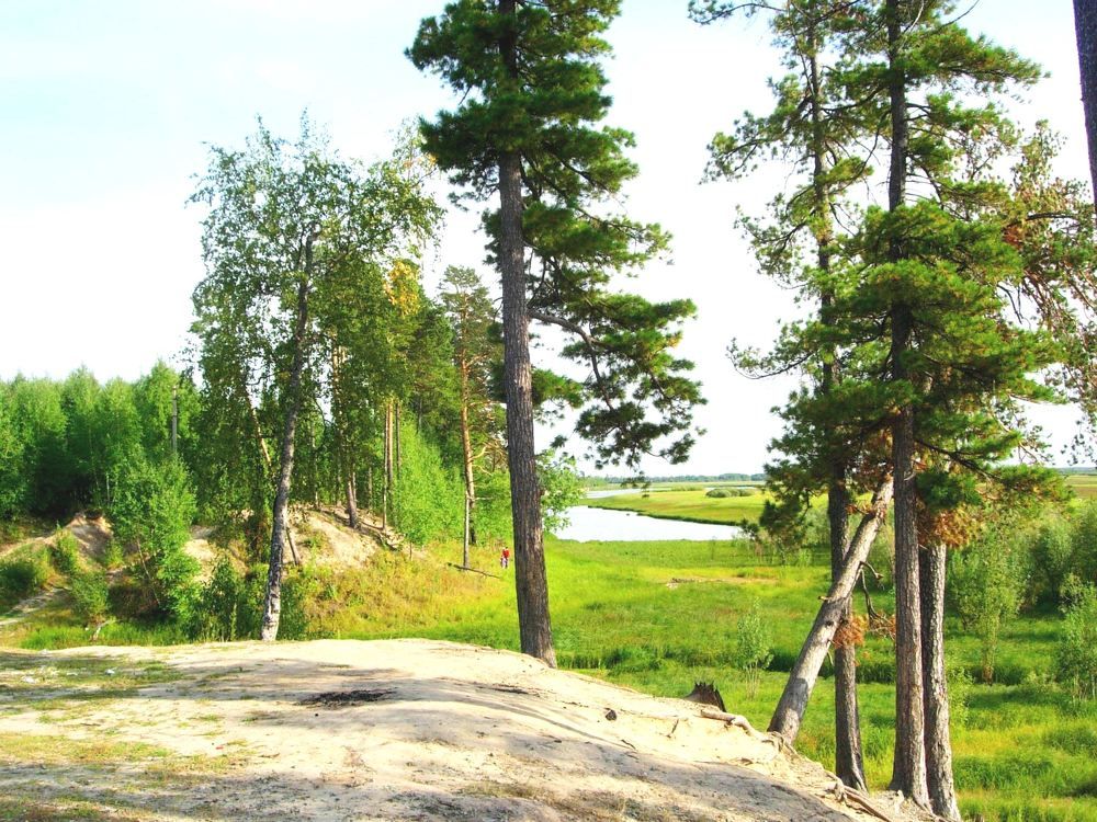 Photograph by Людмила Скочилова