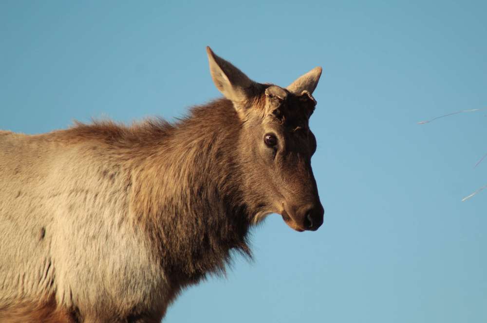 Фотография автора Аяужан Утеулинова