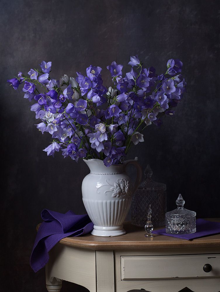 Фотография автора Алина Ланкина