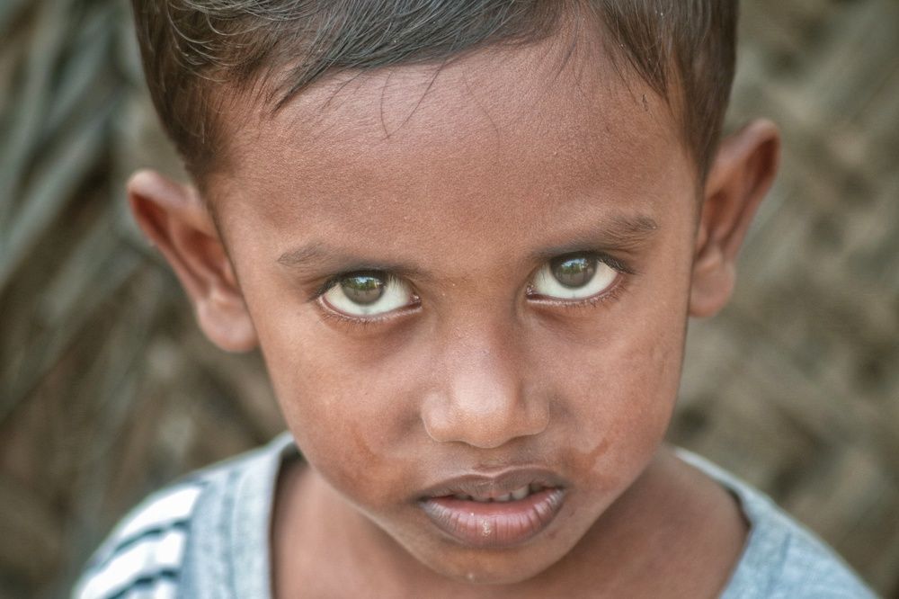 Photograph by Abdullah Nazeef