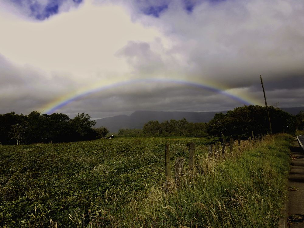 Photograph by MARIO HUMBERTO GARCIA GONZALEZ