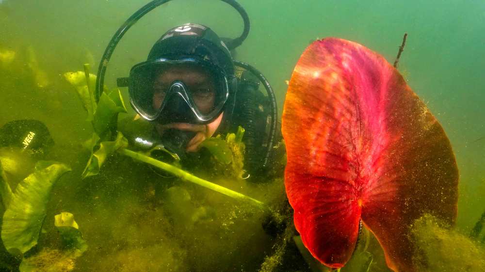 Фотография автора Эрнст Антонов
