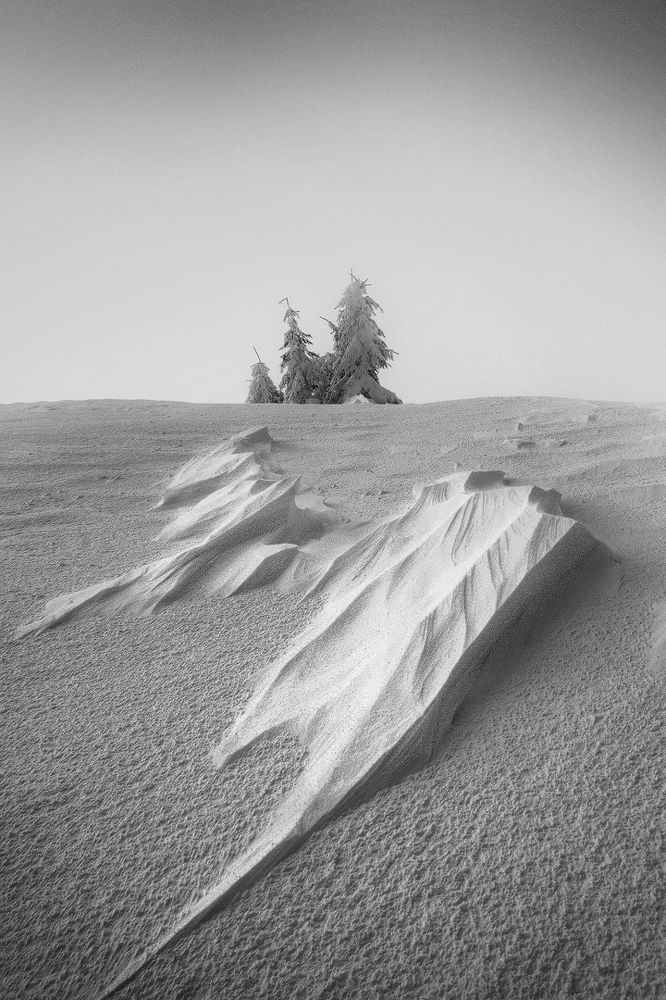 Photograph by Stan Cosmin