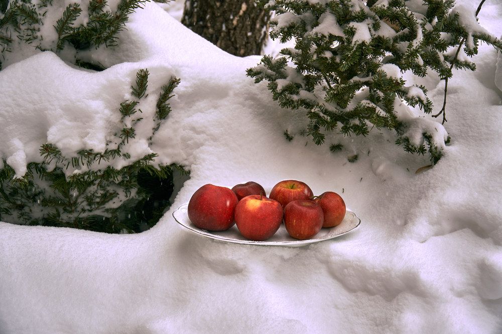 Фотография автора Владимир Вдовиченко
