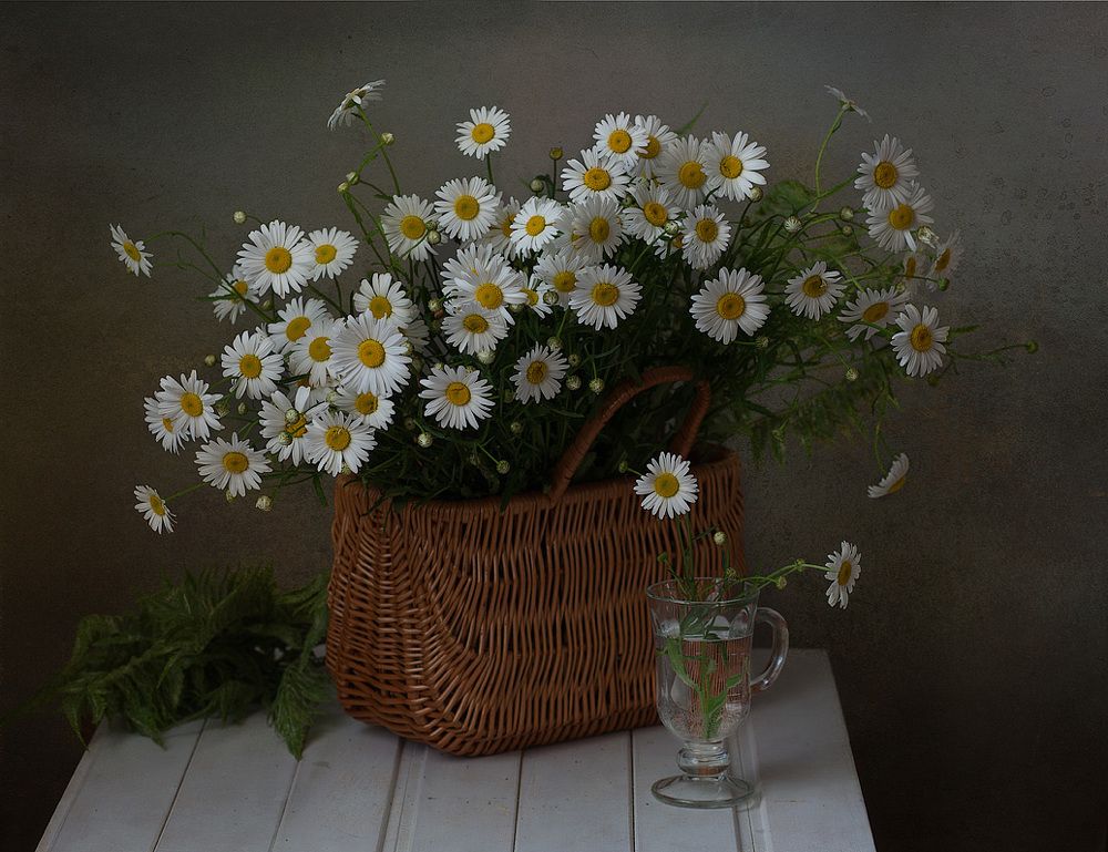 Фотография автора Алина Ланкина