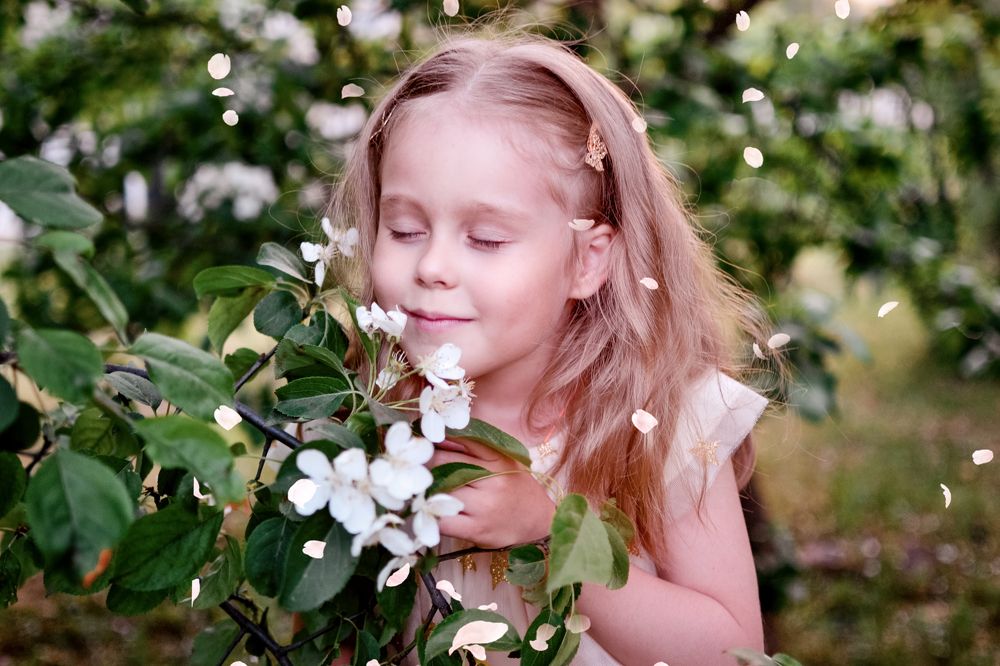 Саша и цветущие яблони