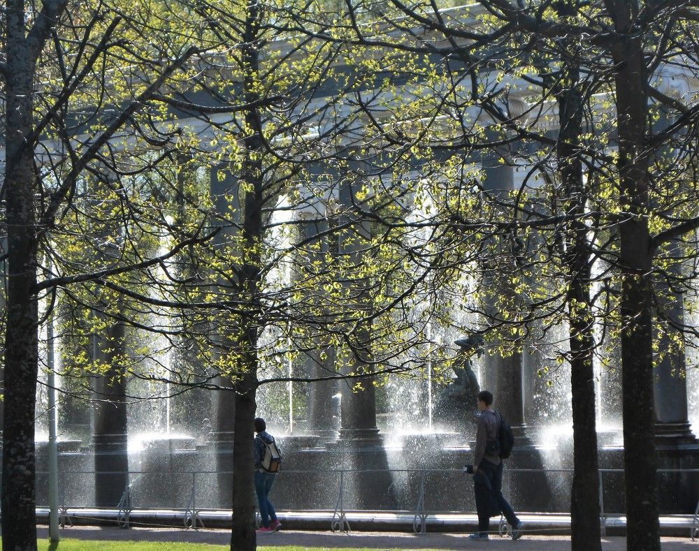 Photograph by Елена Коптева