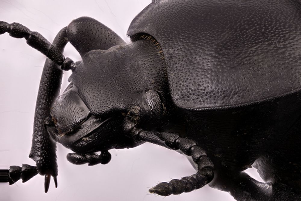 Photograph by Alexander Vayionis