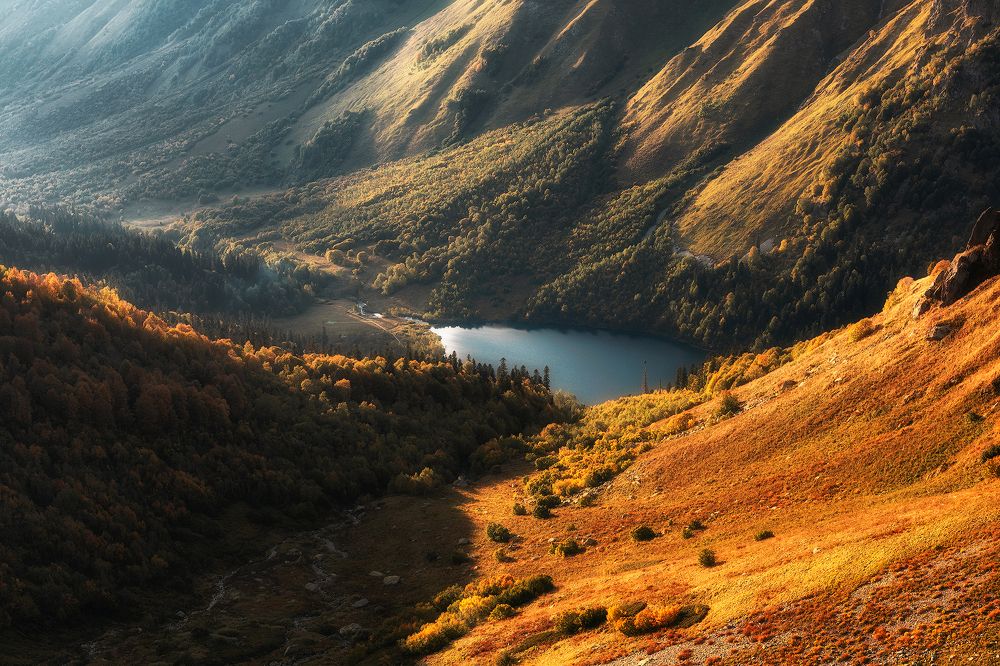 Планета Кардывач