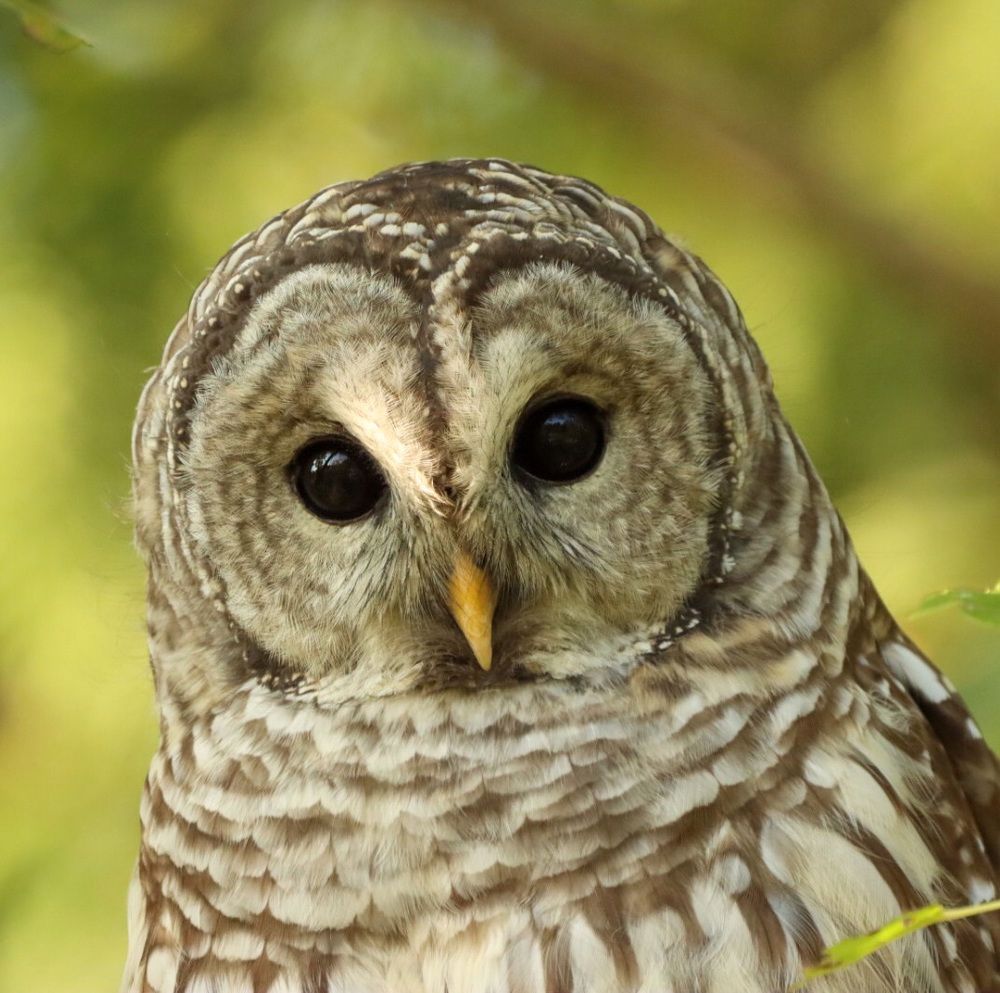 Photograph by Kenneth Tan