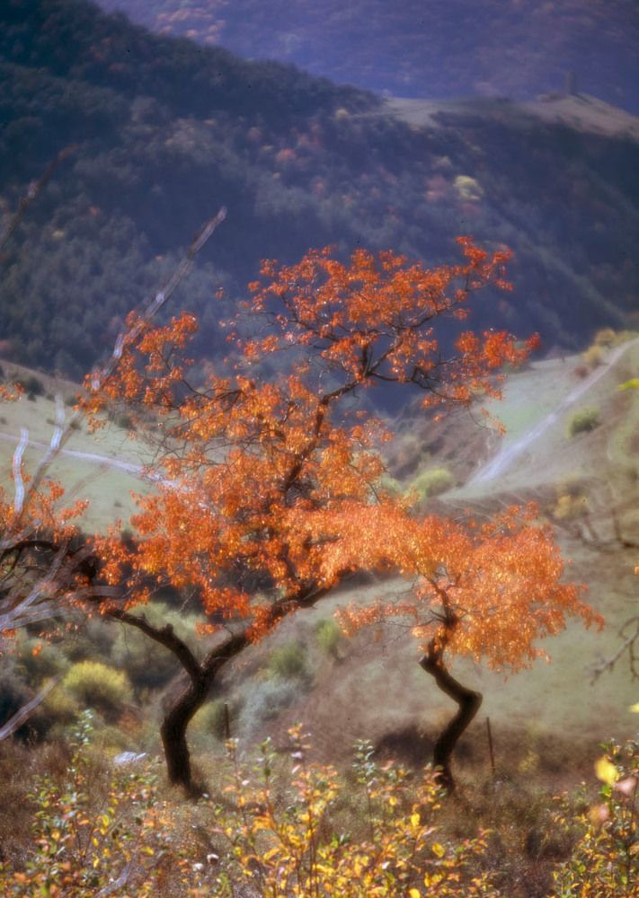 Photograph by Алексей Заморкин