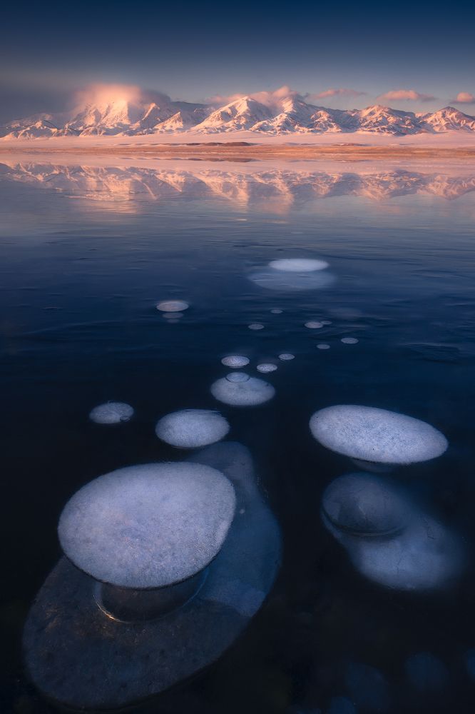 Photograph by Chen Ma