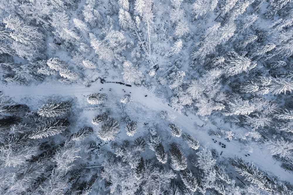 Photograph by Светлана Краюшкина