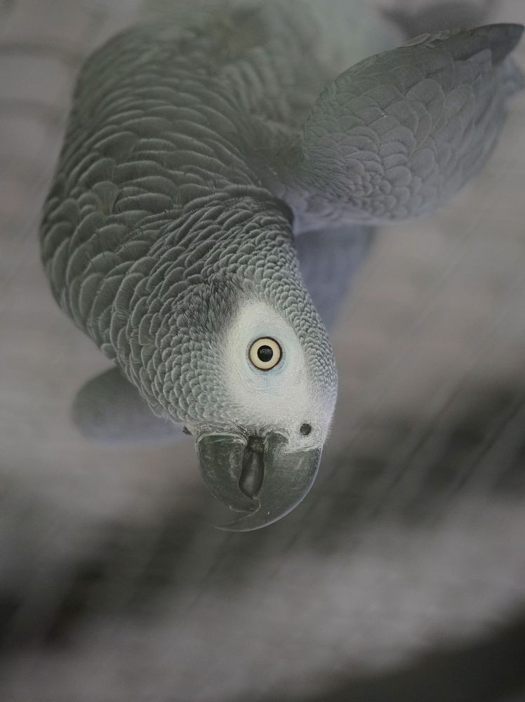 Photograph by Антонов Алексей