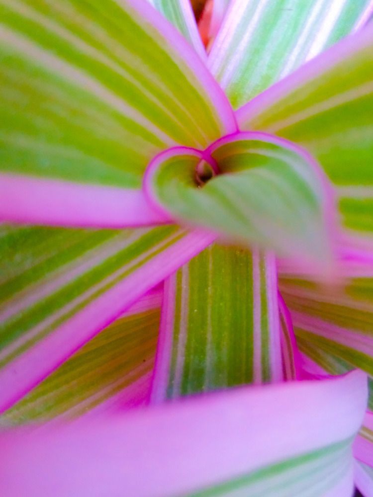 Фотография автора Yako Laverde