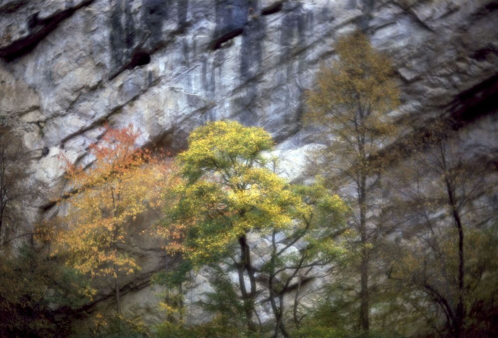 Photograph by Алексей Заморкин