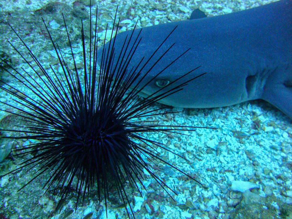 Photograph by Галина Михоношина