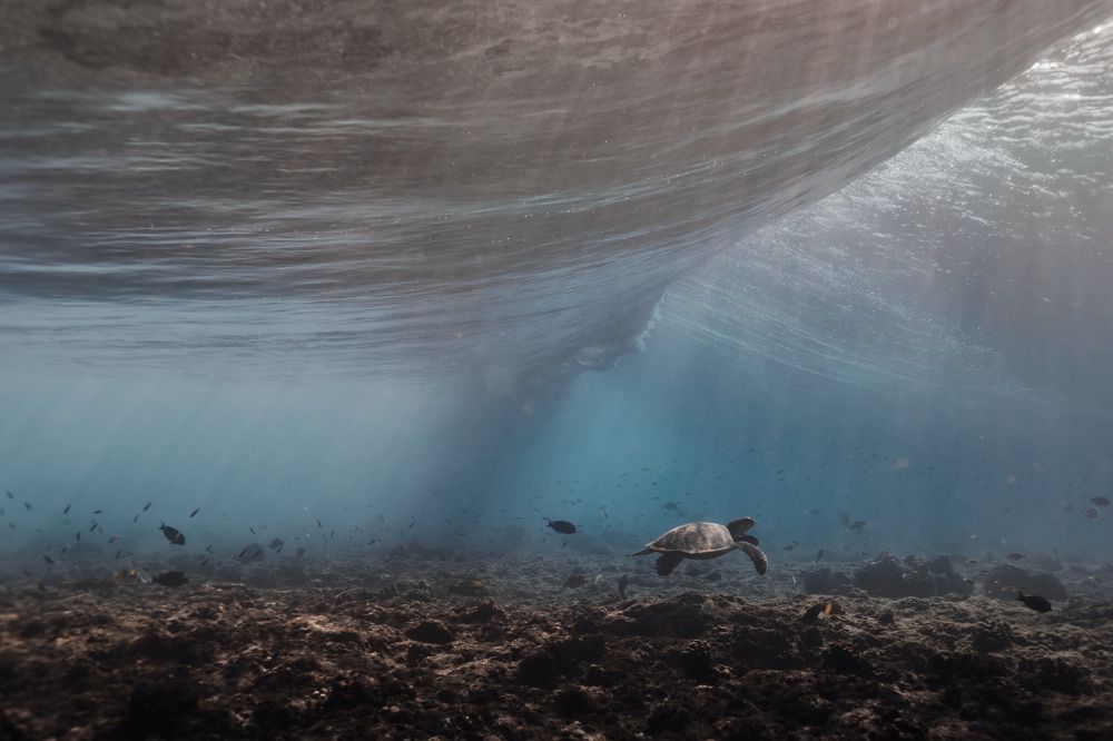 Photograph by matthew sharp