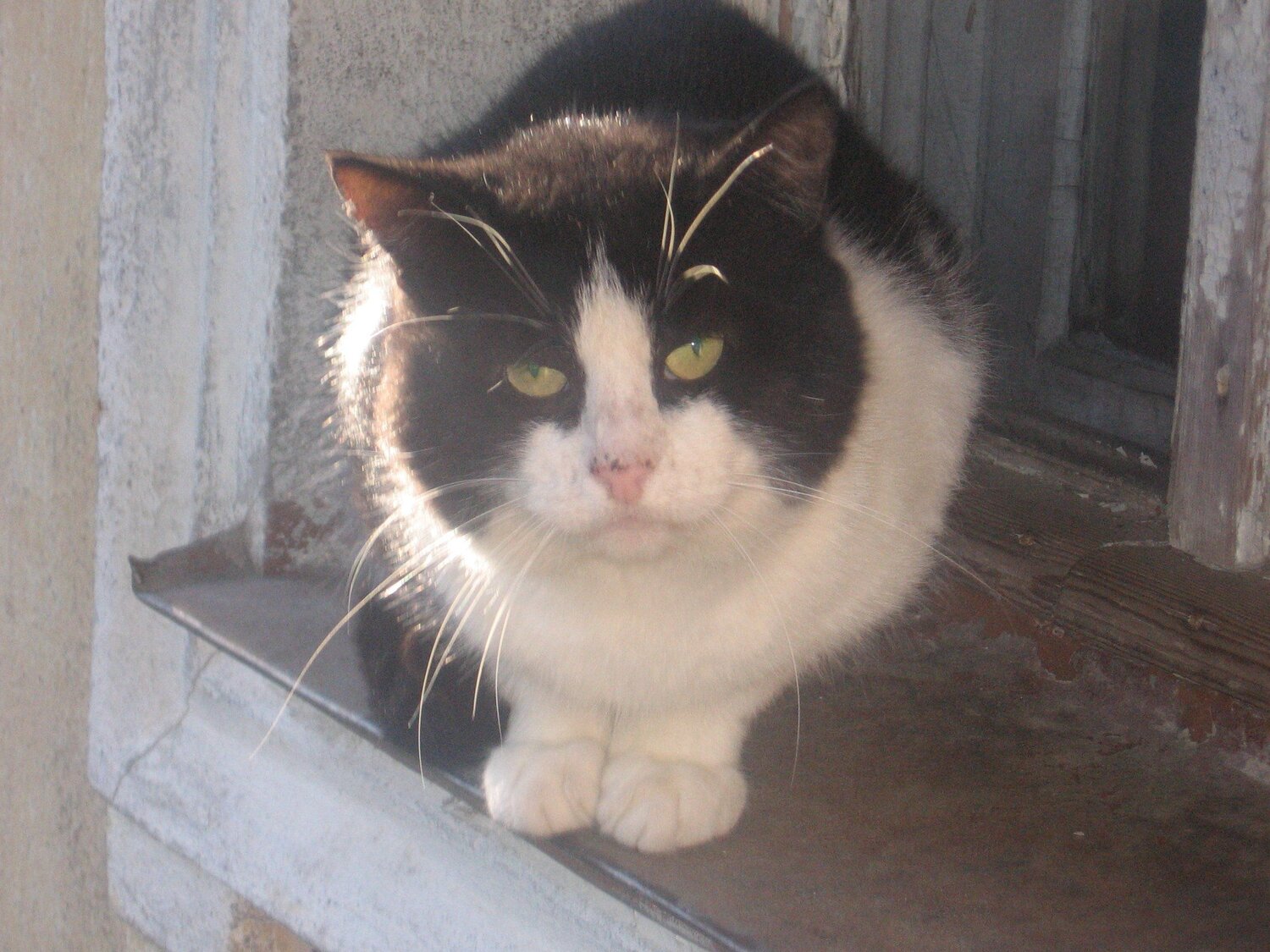 Photo #5831019