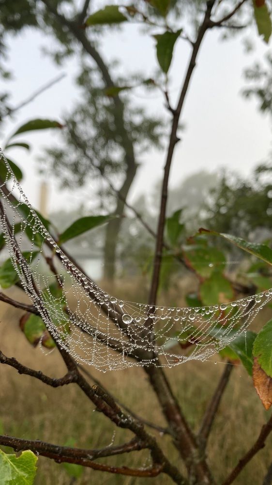 Photograph by Толкун Асаналы