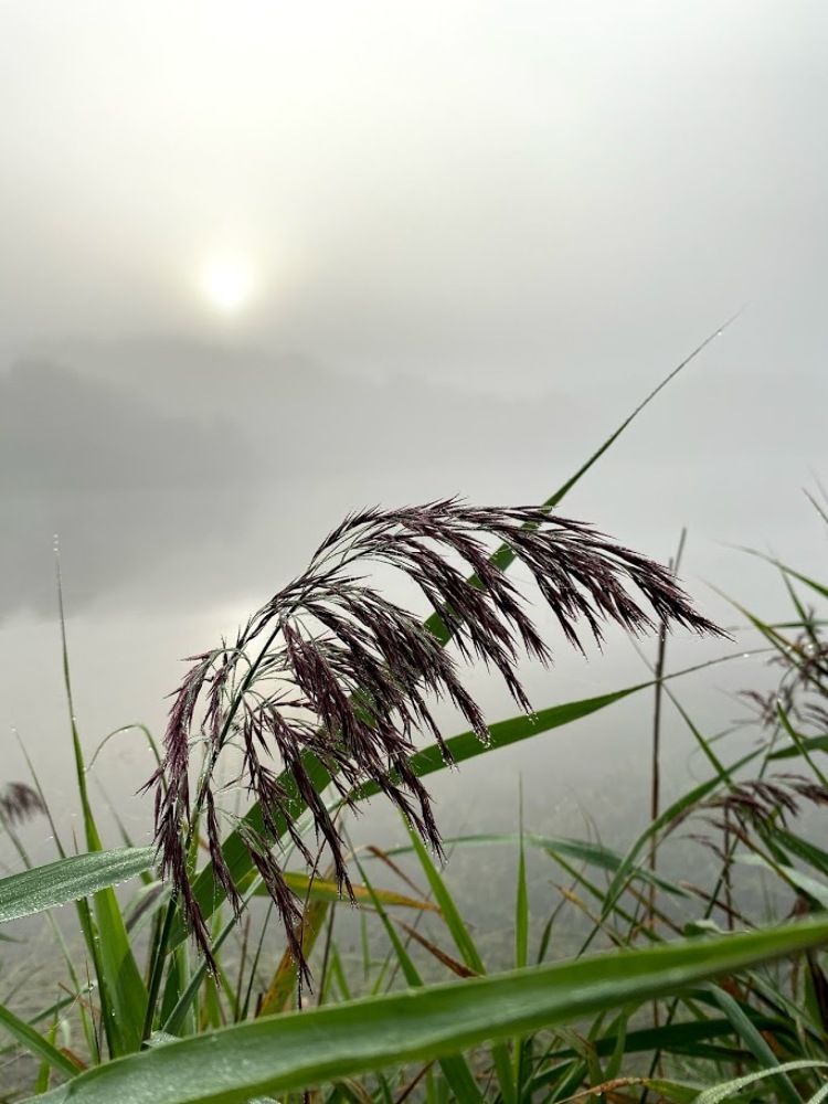 Photograph by Толкун Асаналы