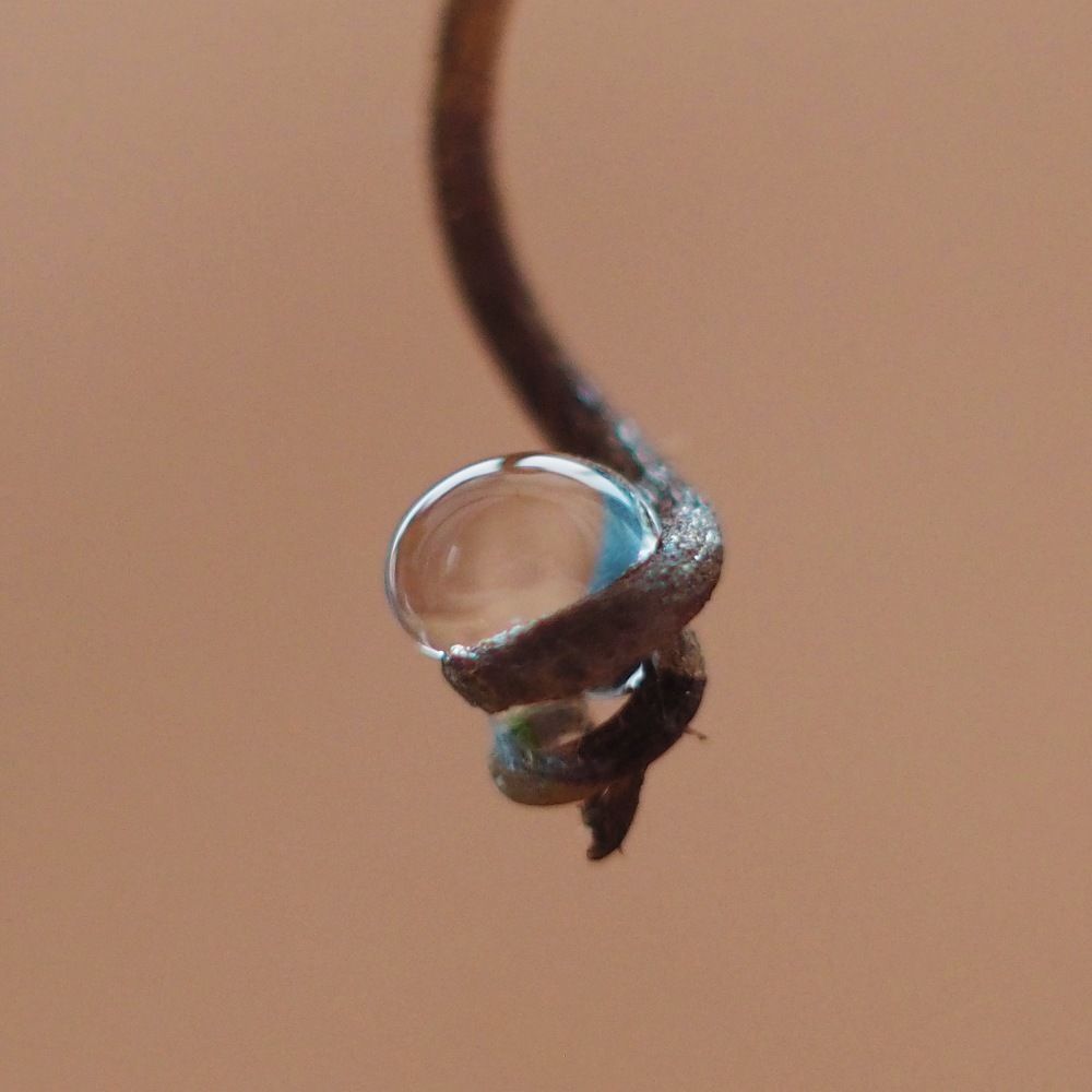 Photograph by Natalija Krucina