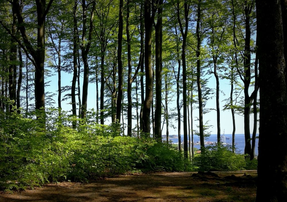 Photograph by Helene Harrysdatter