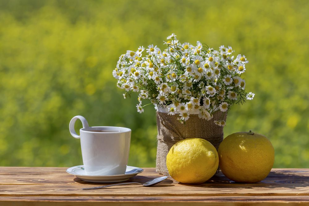 Photograph by TETYANA LYAPI