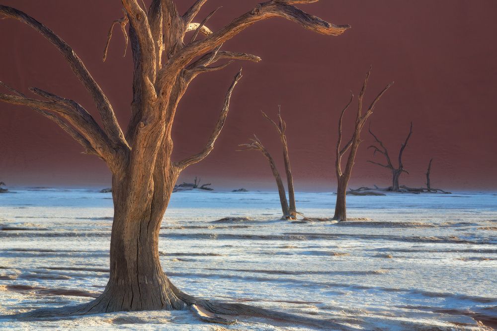 Photograph by Максим Сластников