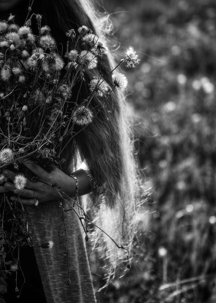 Одуванчики...